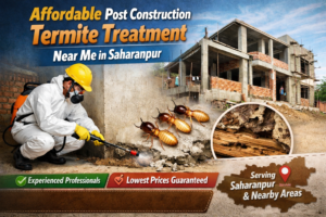 Trusted termite control services near me in Saharanpur showing professional pest control technician and termite damage treatment