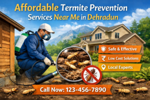 Affordable termite prevention services near me in Dehradun by professional pest control experts protecting homes and buildings