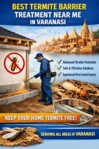 Best Termite Barrier Treatment Near Me in Varanasi – Professional technician applying anti-termite barrier treatment around a home with Varanasi cityscape background and pest control service highlights