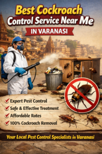 Looking for the best cockroach control service near me in Varanasi? Termoshield offers safe, effective, and long-lasting pest control solutions for homes and businesses.