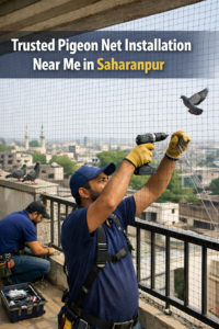 Trusted Pigeon Net Installation Near Me in Saharanpur