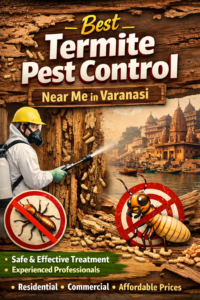 Best termite pest control near me in Varanasi showing a professional technician treating termite-infested wood with safe and effective pest control methods near the Ganga ghats.